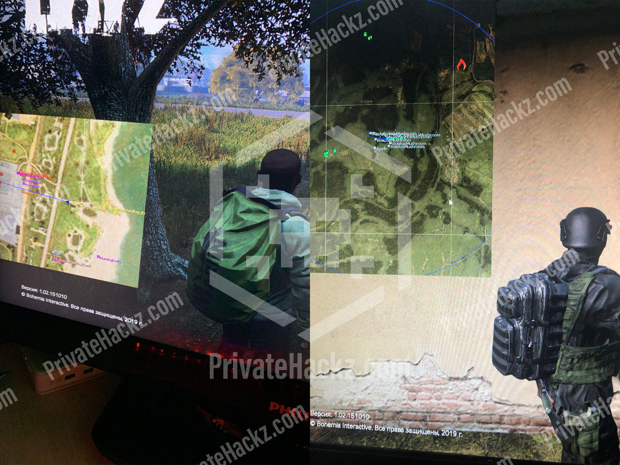 Buy private hacks for DayZ 1.0
